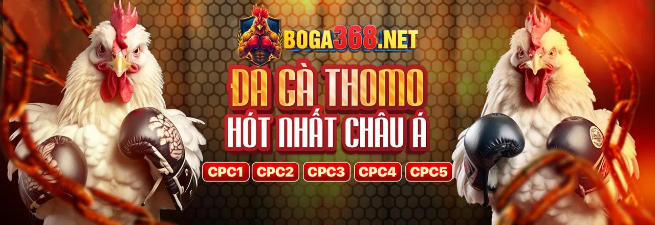 Chương trình VIP rrr88 nhà cái với các cấp độ và ưu đãi độc quyền